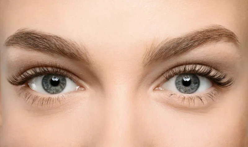PLEIN ZOOM SUR LE REGARD : OU COMMENT UN REGARD PETILLANT ?